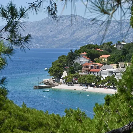 Casa Dalmatia